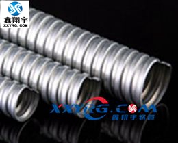 XY-0617 鍍鋅金屬軟管